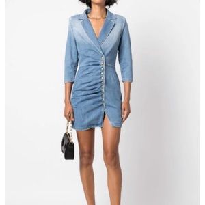 Retrofete Willa denim mini dress